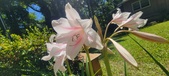 Enlarge photo 176