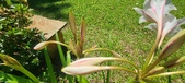 Enlarge photo 171