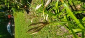 Enlarge photo 169
