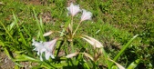 Enlarge photo 165