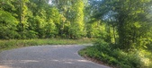 Enlarge photo 164