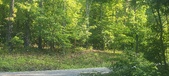 Enlarge photo 163