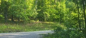 Enlarge photo 162
