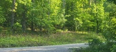 Enlarge photo 158