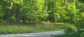 Enlarge photo 159