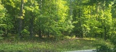 Enlarge photo 160