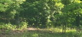 Enlarge photo 161