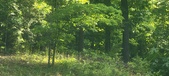 Enlarge photo 157