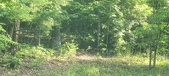 Enlarge photo 156