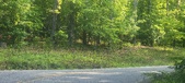 Enlarge photo 155