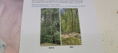 Enlarge photo 141