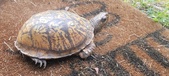 Enlarge photo 33