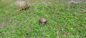 Enlarge photo 40