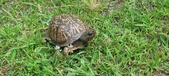 Enlarge photo 42