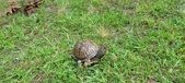 Enlarge photo 45