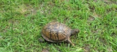 Enlarge photo 47