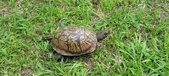 Enlarge photo 48