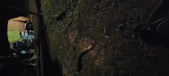 Enlarge photo 51