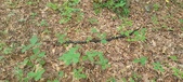 Enlarge photo 53