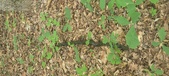 Enlarge photo 57