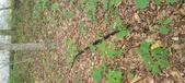 Enlarge photo 58