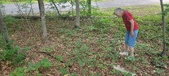 Enlarge photo 62