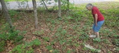 Enlarge photo 61