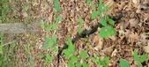 Enlarge photo 69