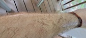 Enlarge photo 134