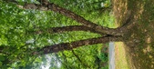 Enlarge photo 86