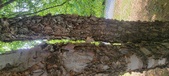 Enlarge photo 88