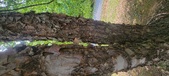 Enlarge photo 89