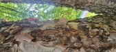 Enlarge photo 90