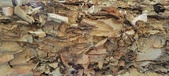 Enlarge photo 93