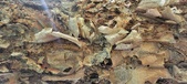 Enlarge photo 94
