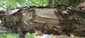 Enlarge photo 95