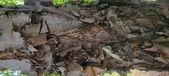 Enlarge photo 97