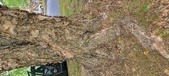 Enlarge photo 105