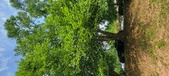 Enlarge photo 106