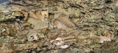 Enlarge photo 112