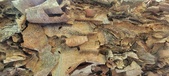 Enlarge photo 111
