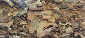 Enlarge photo 110