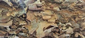 Enlarge photo 109