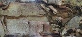 Enlarge photo 113