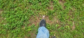 Enlarge photo 287