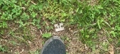 Enlarge photo 284