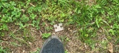 Enlarge photo 285