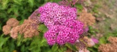Enlarge photo 283