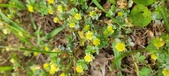 Enlarge photo 277