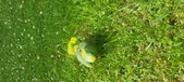 Enlarge photo 271